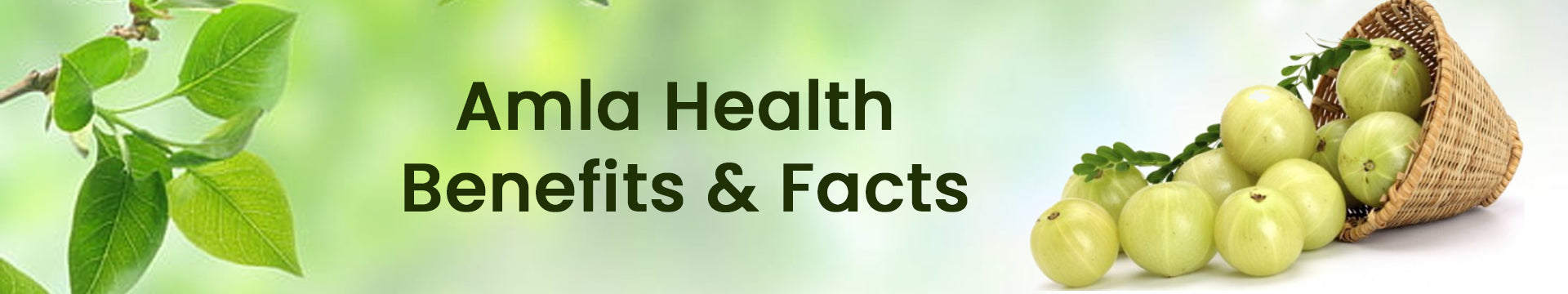 Amla Health Benefits & Facts