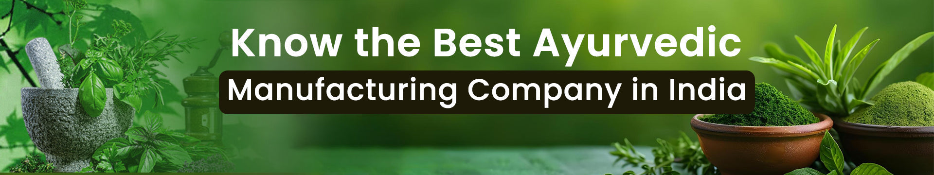 Know the Best Ayurvedic Company in India
