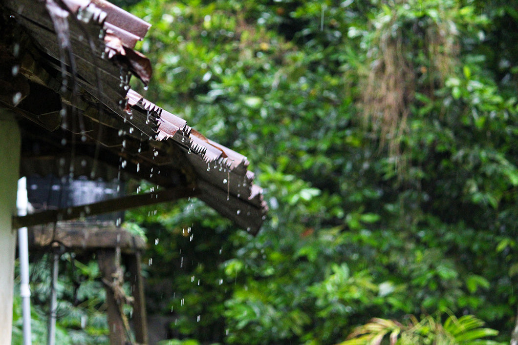 5 Most Useful Tips to Stay Healthy during Monsoon Season