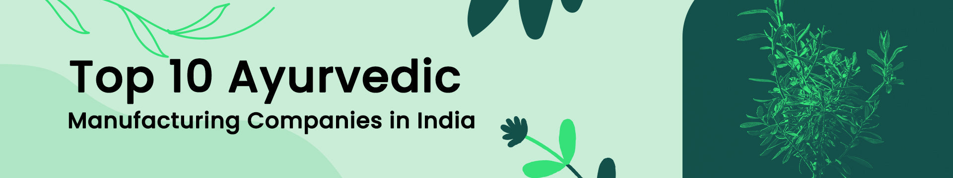 Top 10 Ayurvedic Manufacturing Companies in India