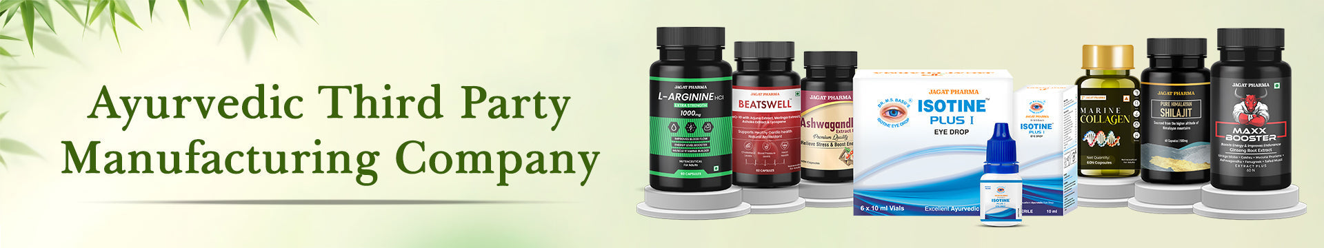 Ayurvedic Third Party Manufacturing Company