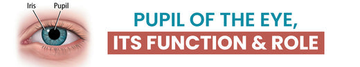Pupil of the Eye, Its Function & Role