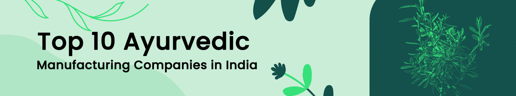 Top 10 Ayurvedic Manufacturing Companies in India
