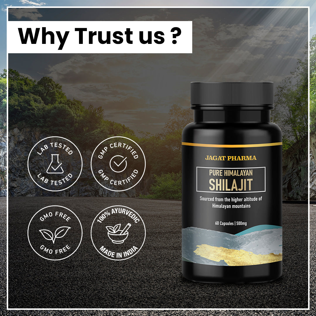 Pure Himalayan Shilajit Capsules – Jagat Pharma