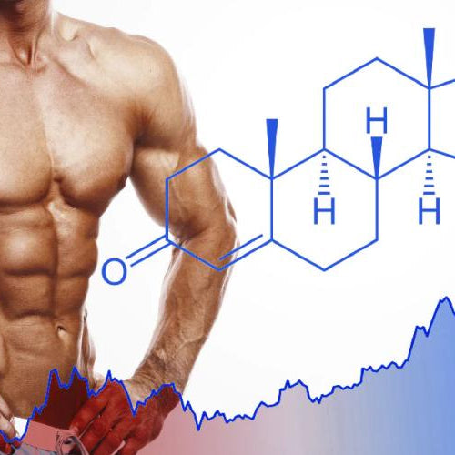 Testosterone Booster Market May See Big Move: Force Factor, Formula Nutrition, Irwin Naturals