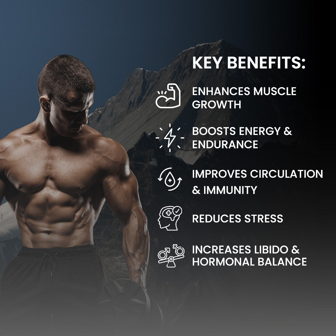 Testosterone Booster + Pure Shilajit: Unleash Strength, Energy, and Vitality!