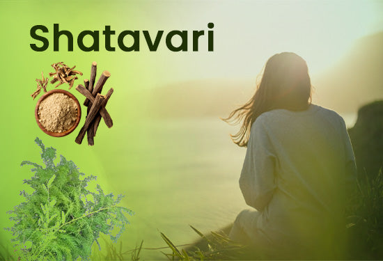Shatavari 550x375
